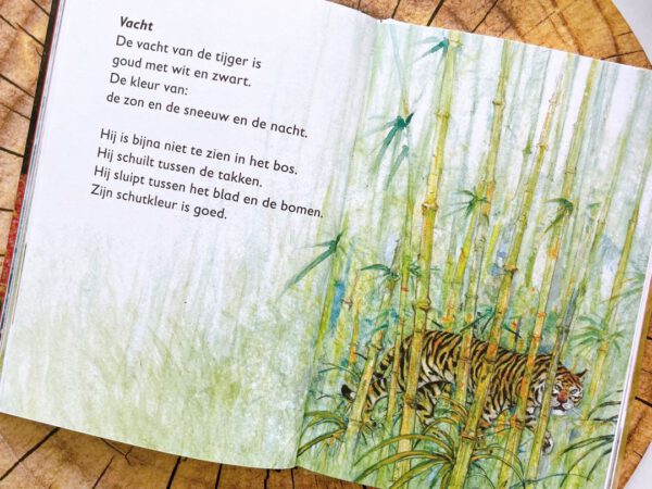 Een tijger in je bed - Stéfani gets fit