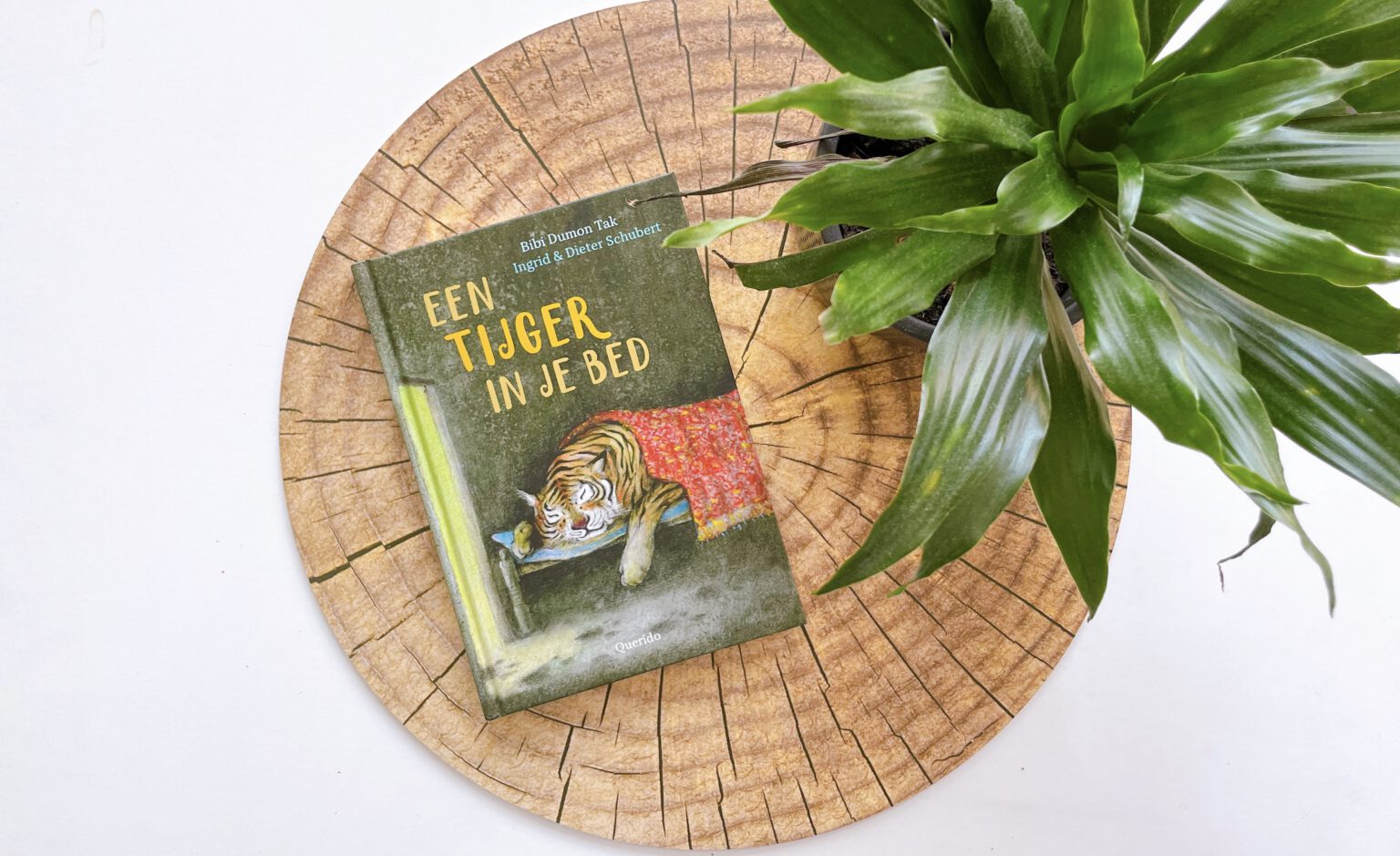 Een tijger in je bed - Stéfani gets fit