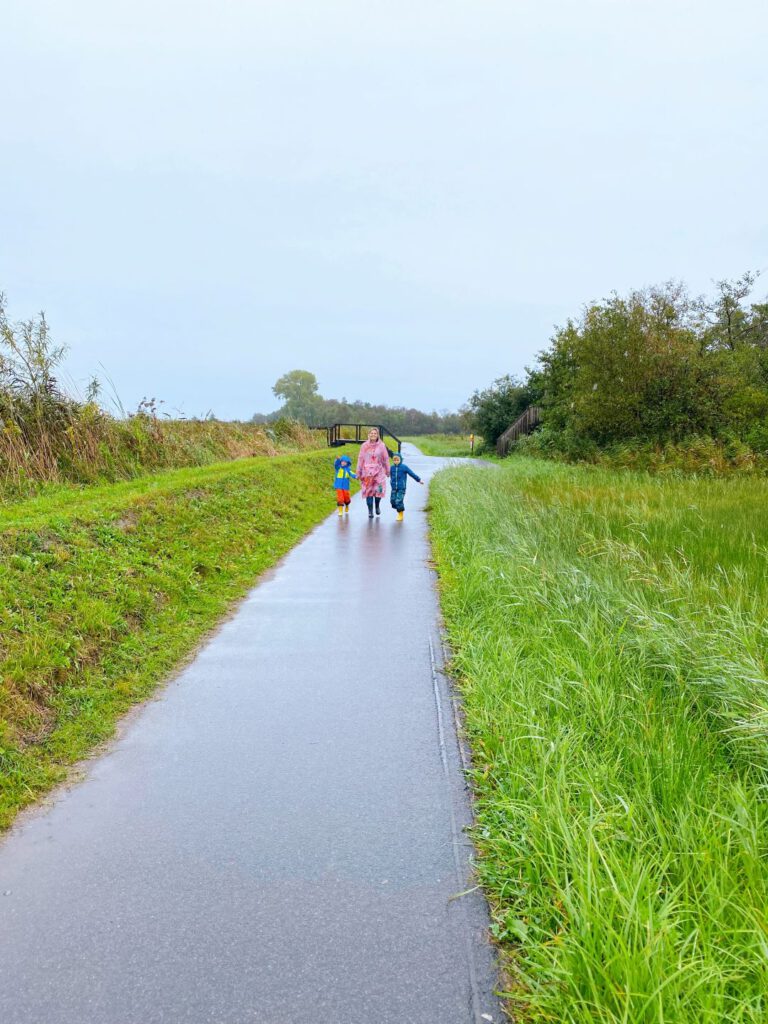 Nieuwkoopse Plassen