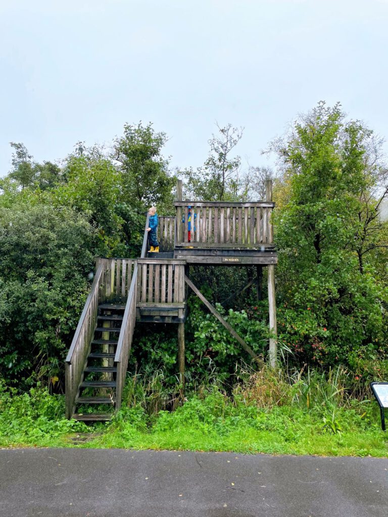 Uitkijktoren