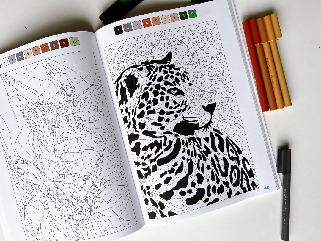 Kleuren op nummer voor volwassenen - Stéfani gets fit