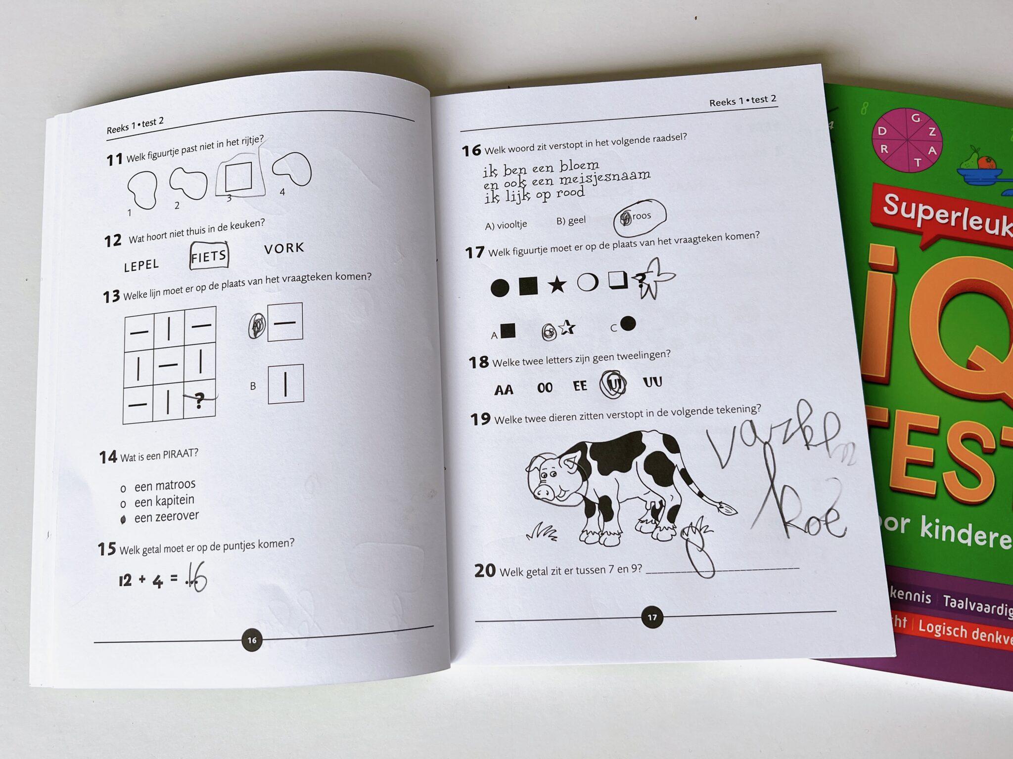 Breinbrekers & IQ testen voor kinderen - Stéfani gets fit