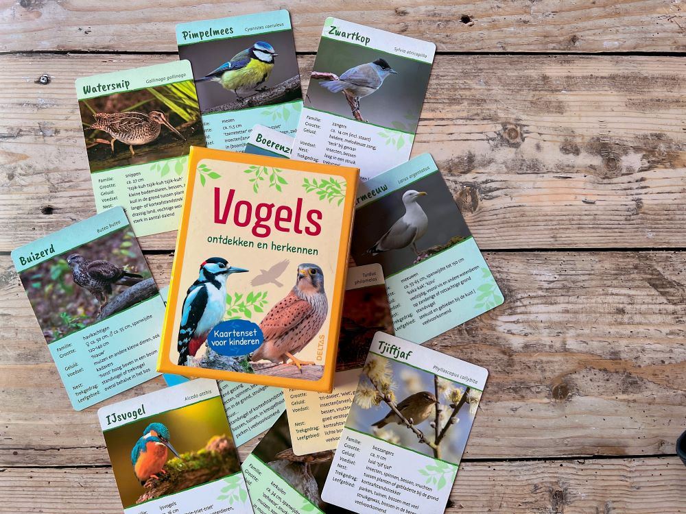 vogels ontdekken en herkennen