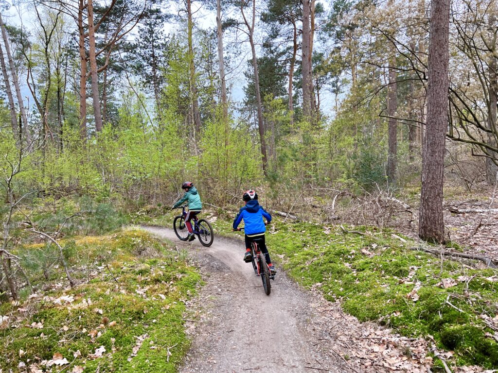 mtb kids utrechtse heuvelrug