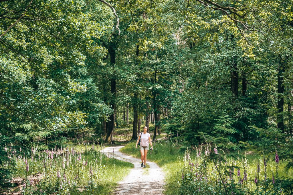 natuur wandeling