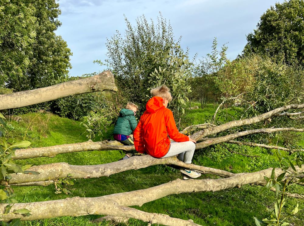 natuurspeeltuin bredius woerden