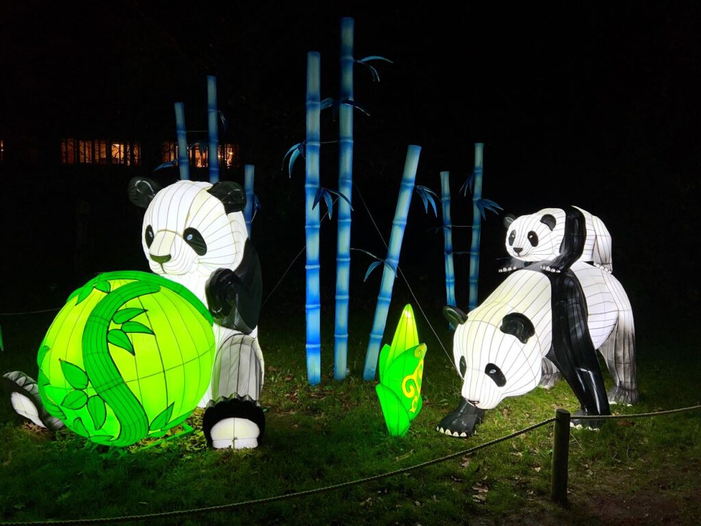 night lights ouwehands dierenpark rhenen